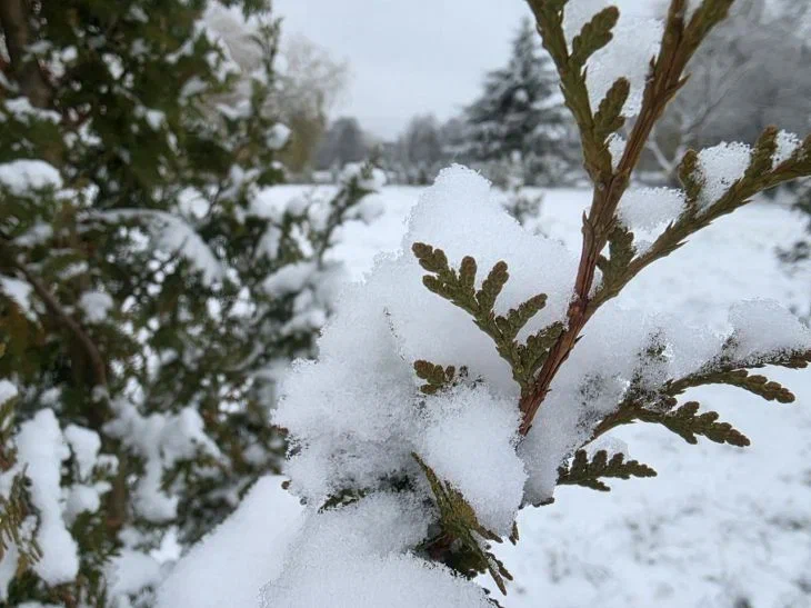 Погода будет неустойчивой: прогноз погоды на 16-22 февраля 2026 года от Дмитрия Рябова Снег