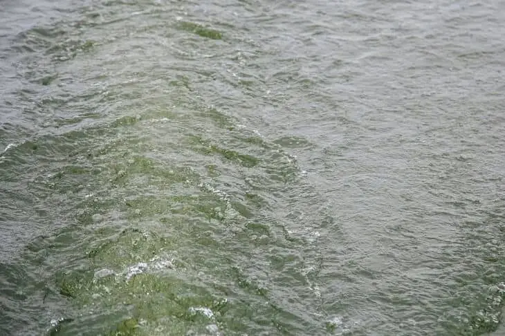 Власти Марокко объявили чрезвычайную ситуацию на северо-западе страны: проводится эвакуация Вода