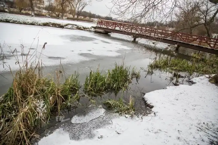 МЧС: паводки могут затронуть 60 районов Беларуси Вода