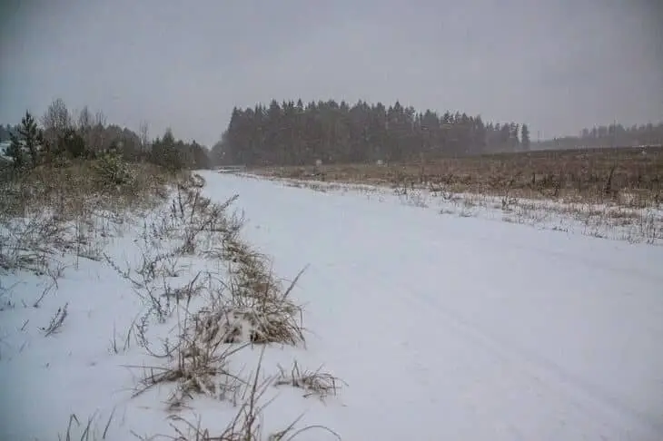 Какой сегодня праздник: 25 февраля 2026 года Зима