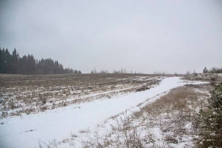 Какой сегодня праздник: 28 февраля 2026 года Зима