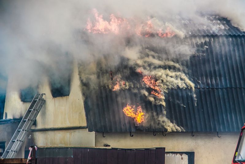 Баня, жилой дом, хозпостройка, растительность. Гродненщина сражается с пожарами дом