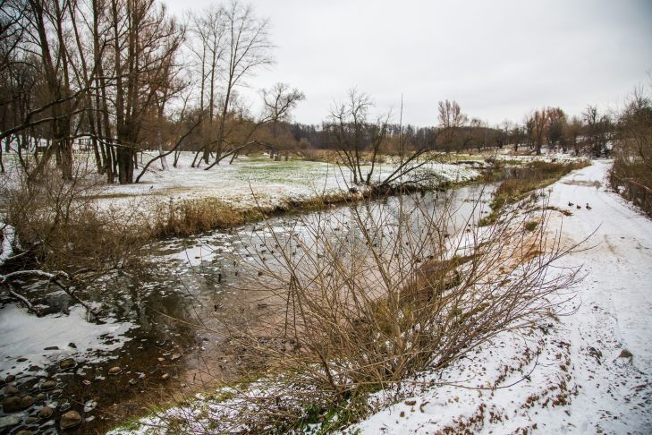 Оранжевый уровень опасности объявили в Беларуси. Что нужно знать о погоде 3 марта 2026 года природа