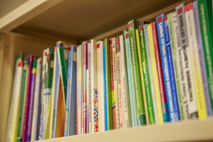 Роман «Застенчивая девочка» вызвал раскол в издательской среде: сочинение удаляют со всех площадок Книги