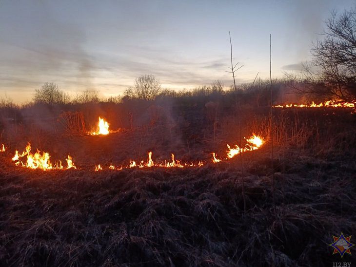 Началось. В Беларуси зафиксированы первые случаи возгорания сухой травы пожар