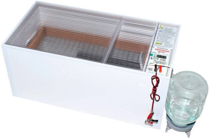 «Матрица Дели» или «Несушка»: какой инкубатор подойдёт новичку Инкубатор