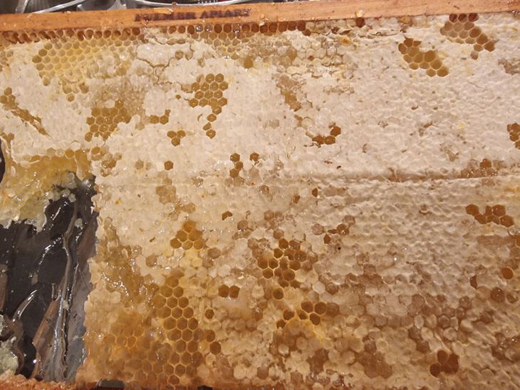 Что полезнее: мед или сахар — сравнение ударной дозы глюкозы мед