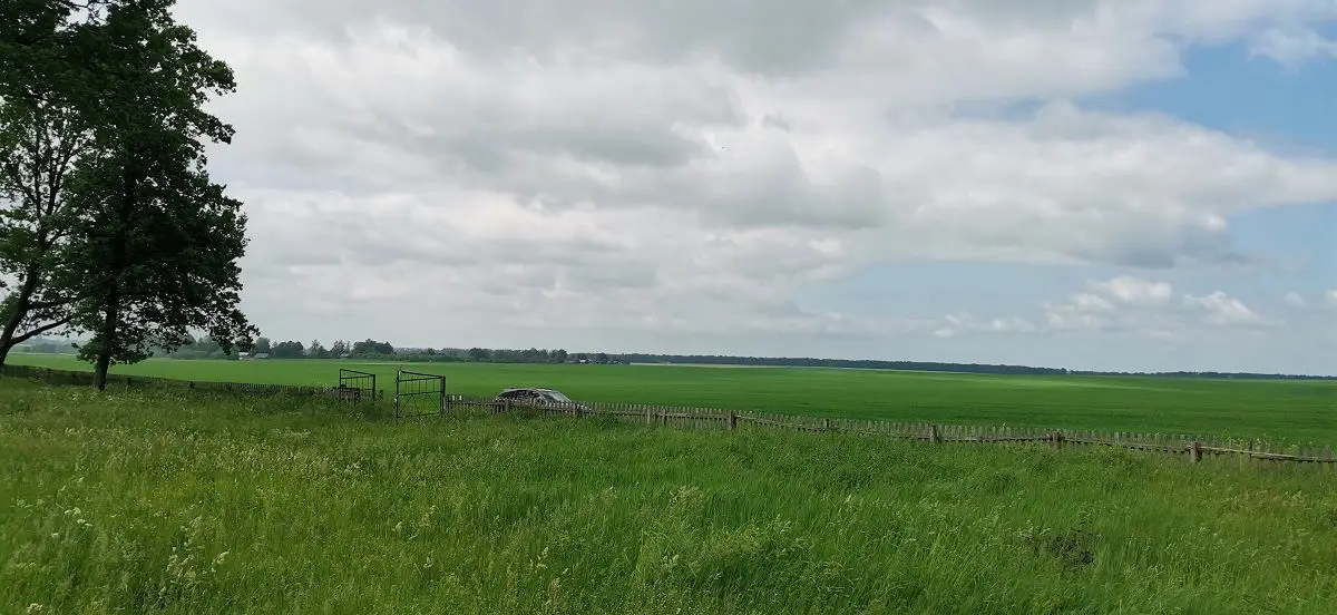 В Беларуси площадь одного района увеличится на 10 тыс. га. Заявление губернатора природа