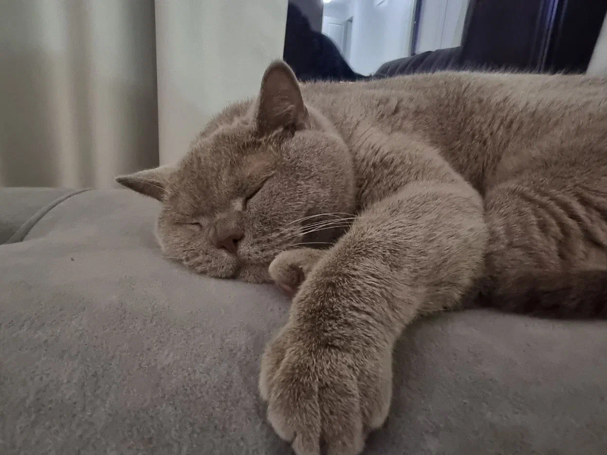 ЖКХ Минщины подвело итоги работы первого квартала 2026 года: капремонт и замена коммуникаций Кот