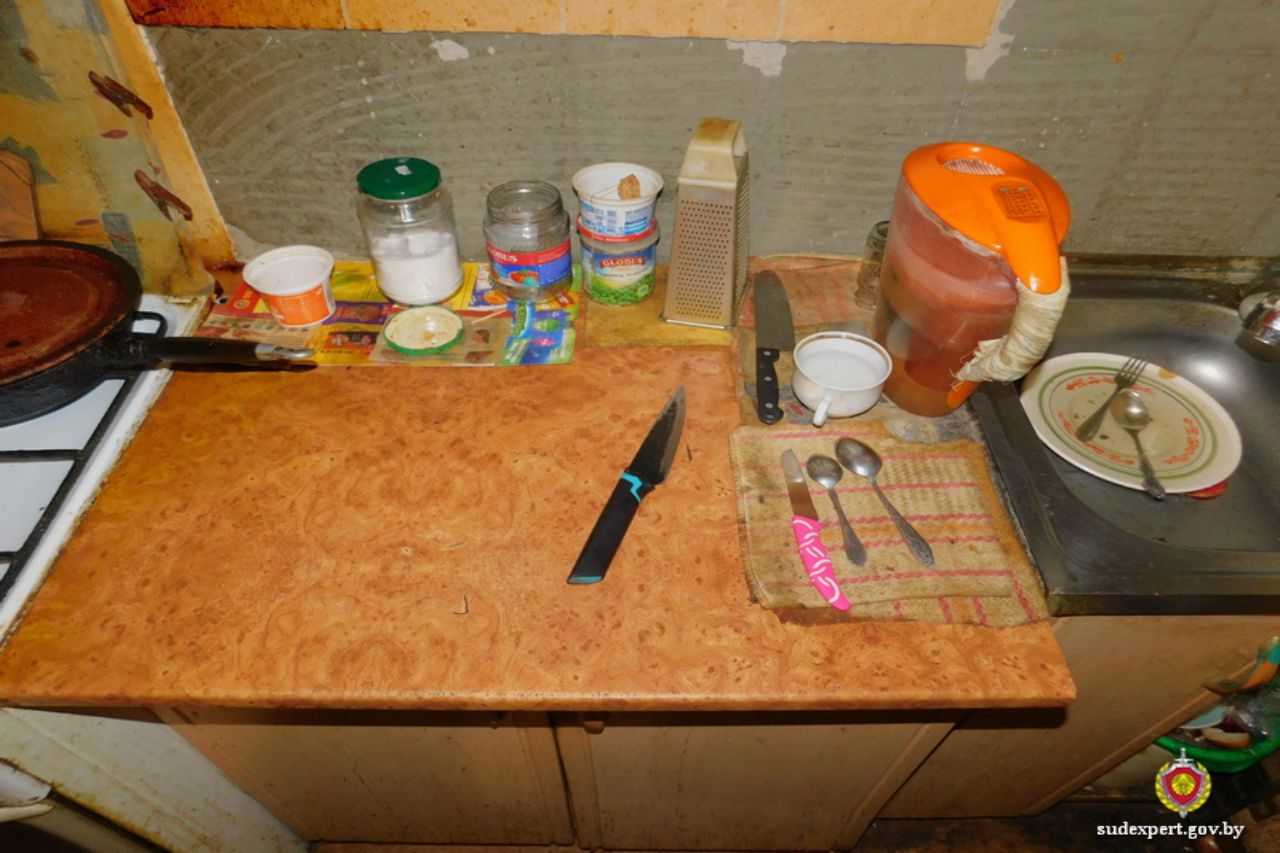 Пьяный белорус причинил себе проникающее ранение во время приготовления пищи: как такое возможно Нож