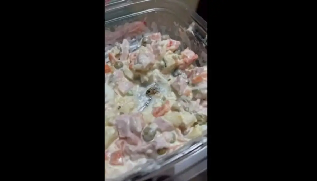 В магазинах Минска обнаружили пчелу в оливье и гусеницу в плове продукты