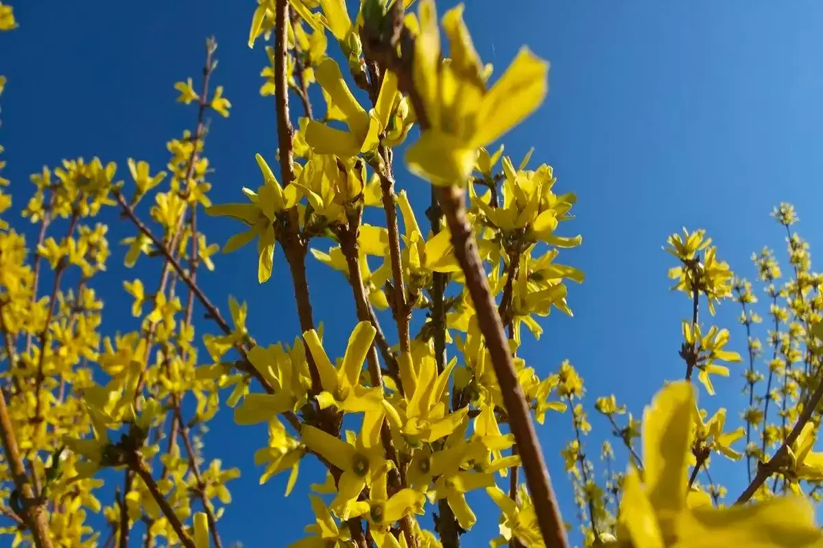 Какой сегодня праздник: 19 апреля 2026 года