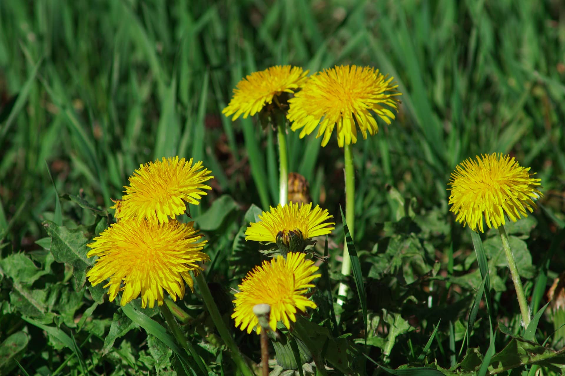 Какой сегодня праздник: 26 апреля 2026 года