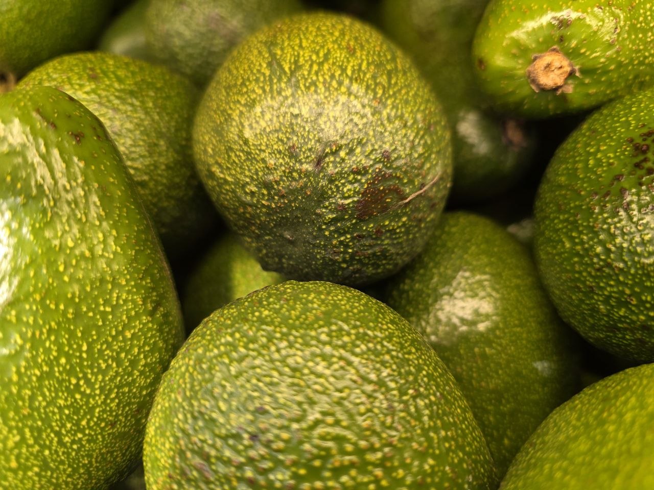 Жиросжигатель на кухне: сколько раз в день нужно есть авокадо, чтобы ушел живот