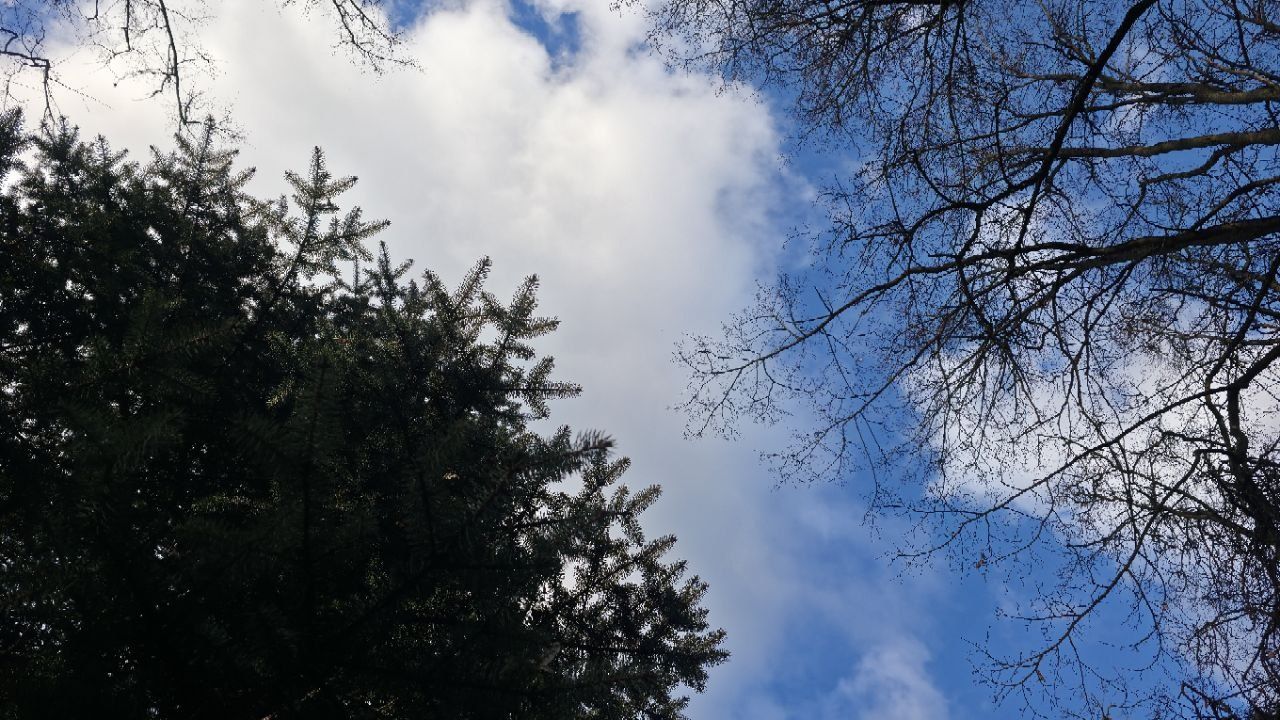 Новости сегодня за 13 апреля 2026 года: пьяный таксист, ДТП с подростками и угандийский «запрос» на миллиард долларов природа