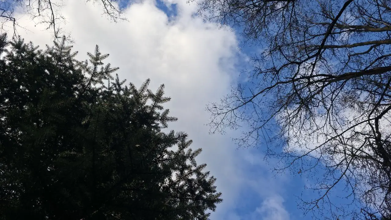 Новости сегодня за 14 апреля 2026 года: гибель людей в Минском районе, условие Израиля по Ирану и погода на завтра природа