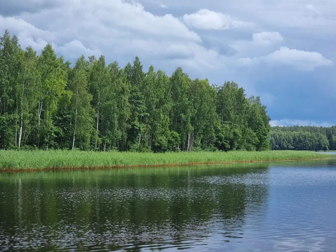 Новости сегодня за 15 апреля 2026 года: изменения в Беларуси, смертельное ДТП с косулей и уникальная операция медиков природа
