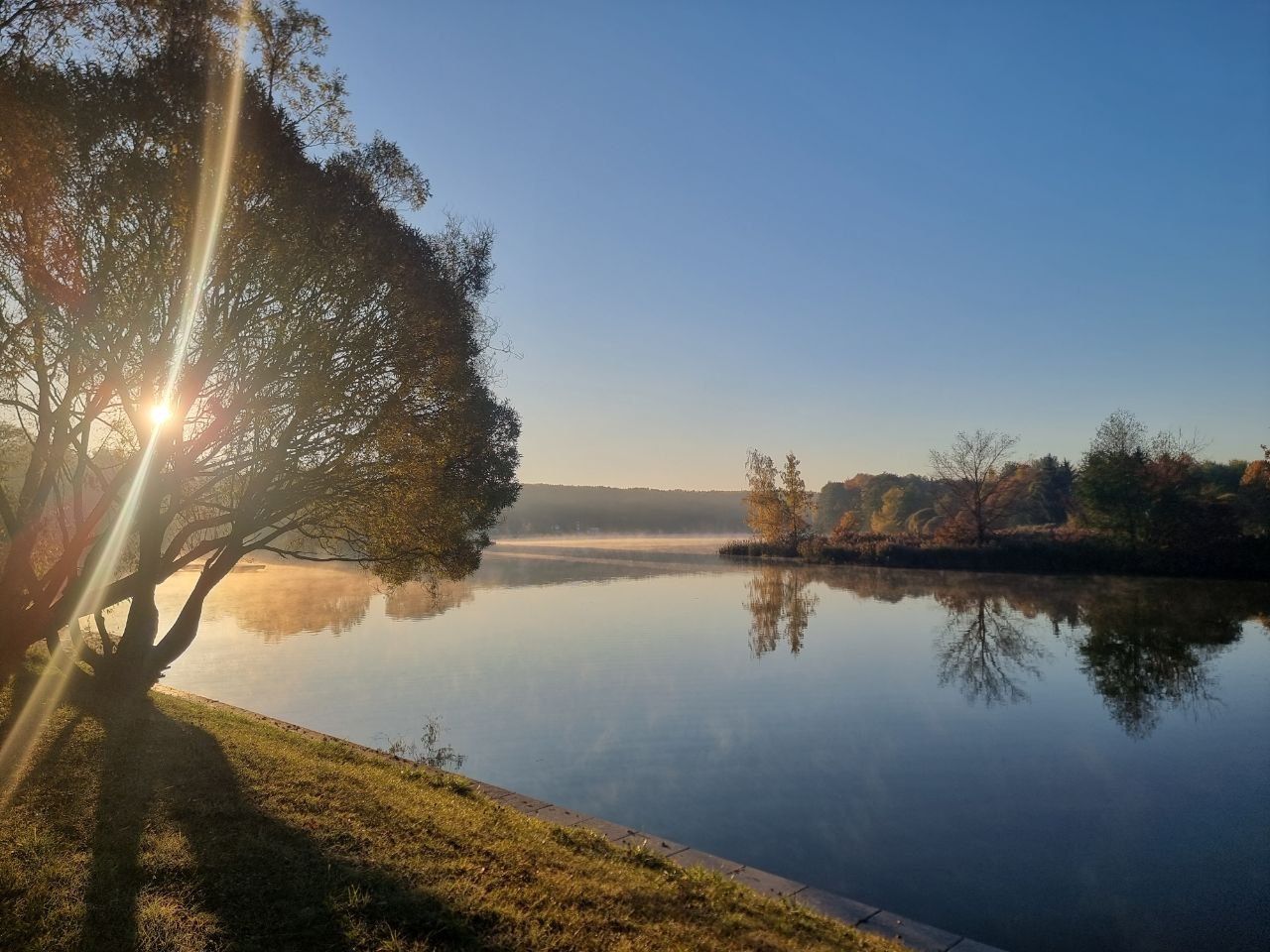 Радиационная обстановка в Беларуси. Специалисты выступили с важным заявлением природа
