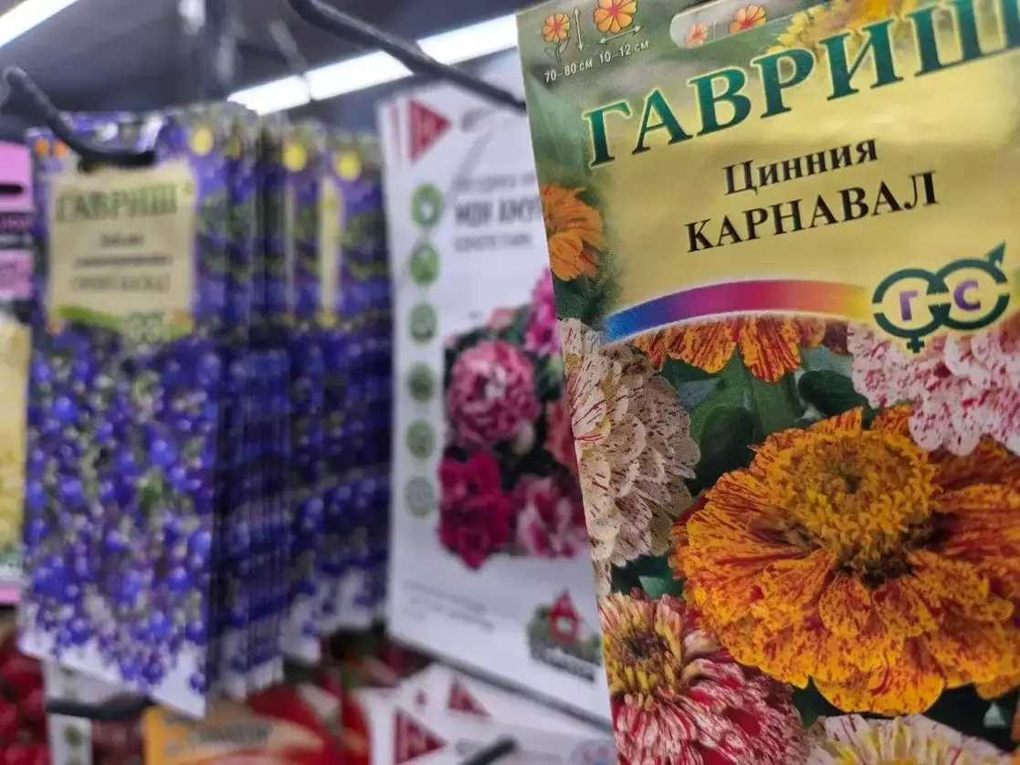 Вместо бесконечного скроллинга: 7 хобби, которые снизят уровень стресса и тревоги Семена