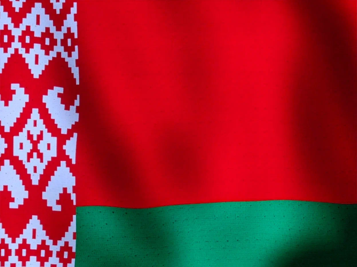 Белорусы Валевский и Хаслаханов победили на всероссийских соревнованиях по греко-римской борьбе в Санкт-Петербурге Флаг Беларуси