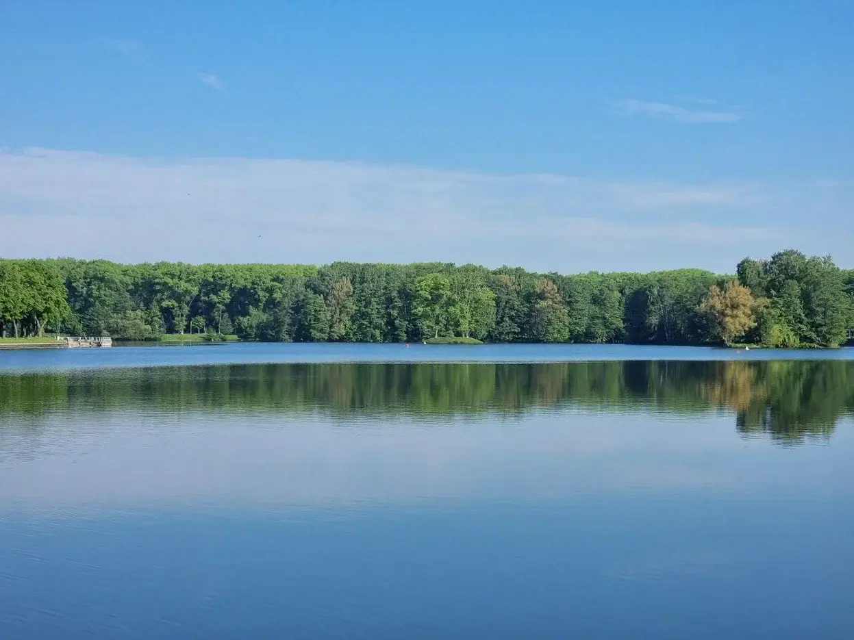 Слаломный канал под Минском заполнили водой, рассказали в ГП «Гордорстрой» Водный объект