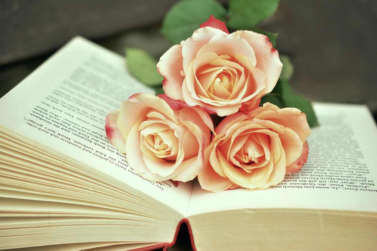 Предпочтения российских книголюбов меняются. Классика уступает место женским романам цветы на книге