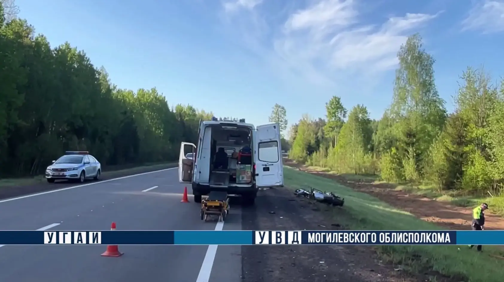 В Могилевском районе байкер врезался в лося автомобили на дороге