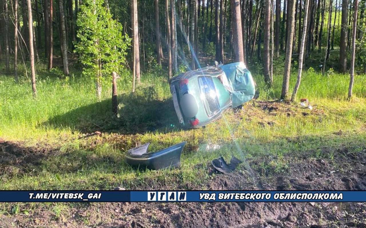 В Поставском районе столкнулись автомобиль и лось, есть пострадавшие ДТП с лосем