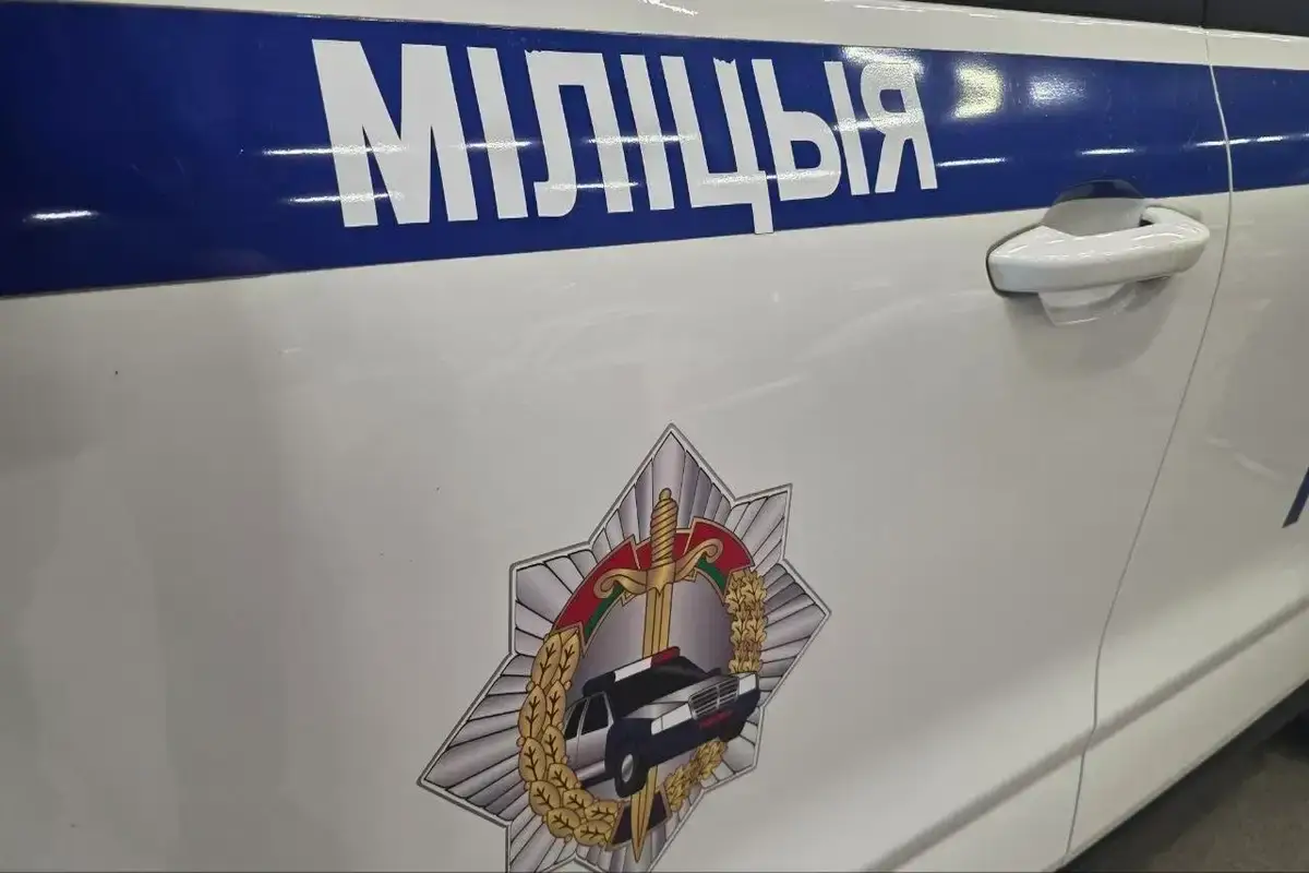 Хотела сделать себе подарок. Минчанка украла двух чихуахуа в свой день рождения Машина милиции