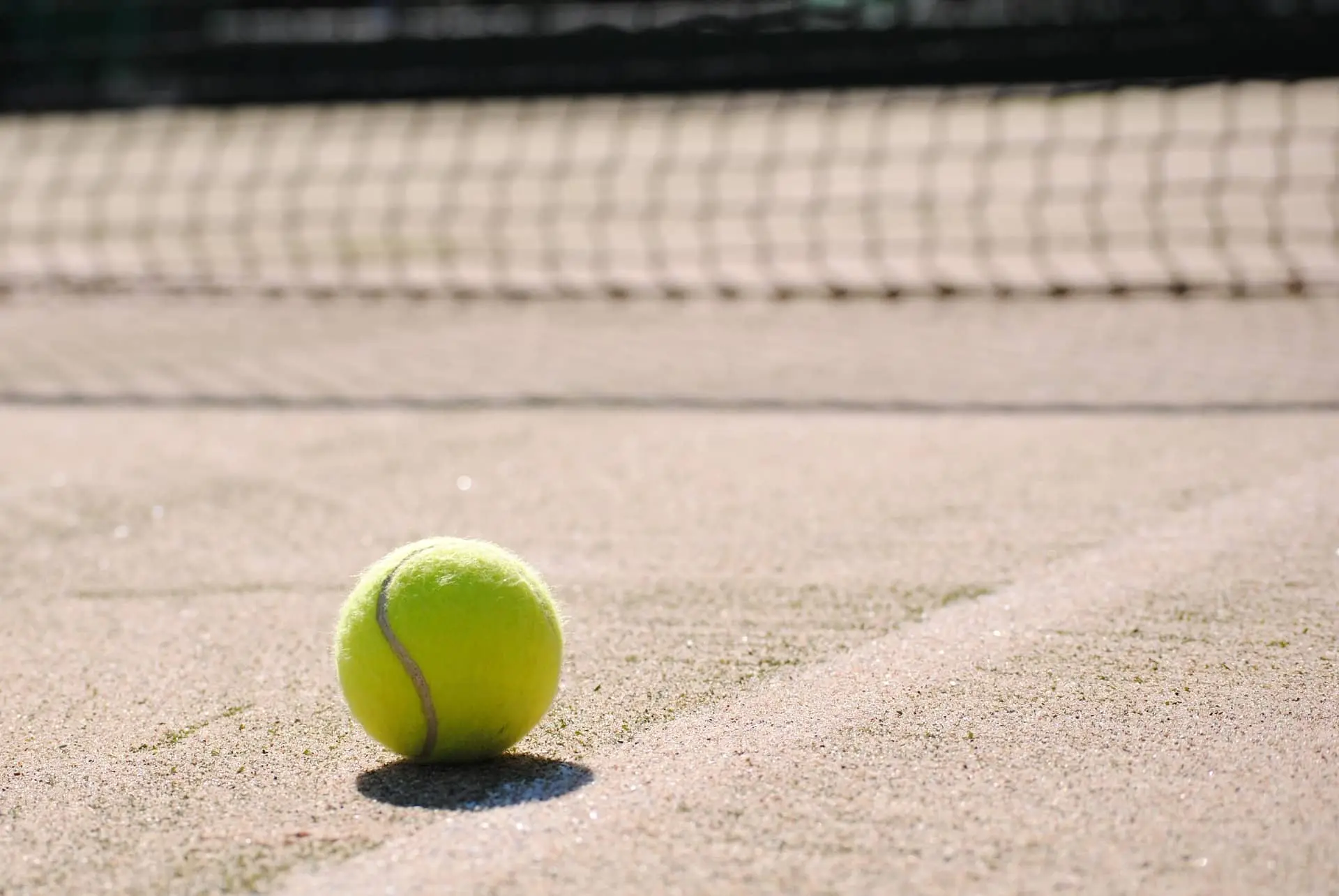 Шиманович и Козырева выбыли из парного турнира WTA-125 в Великобритании Теннисный мяч