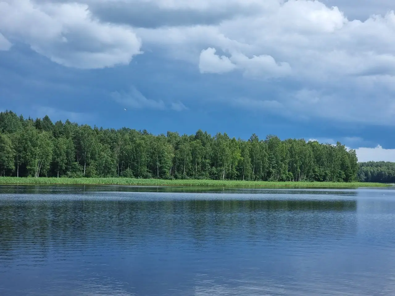 Пожары, гибель на воде, подтопления, ДТП. МЧС предупредило б