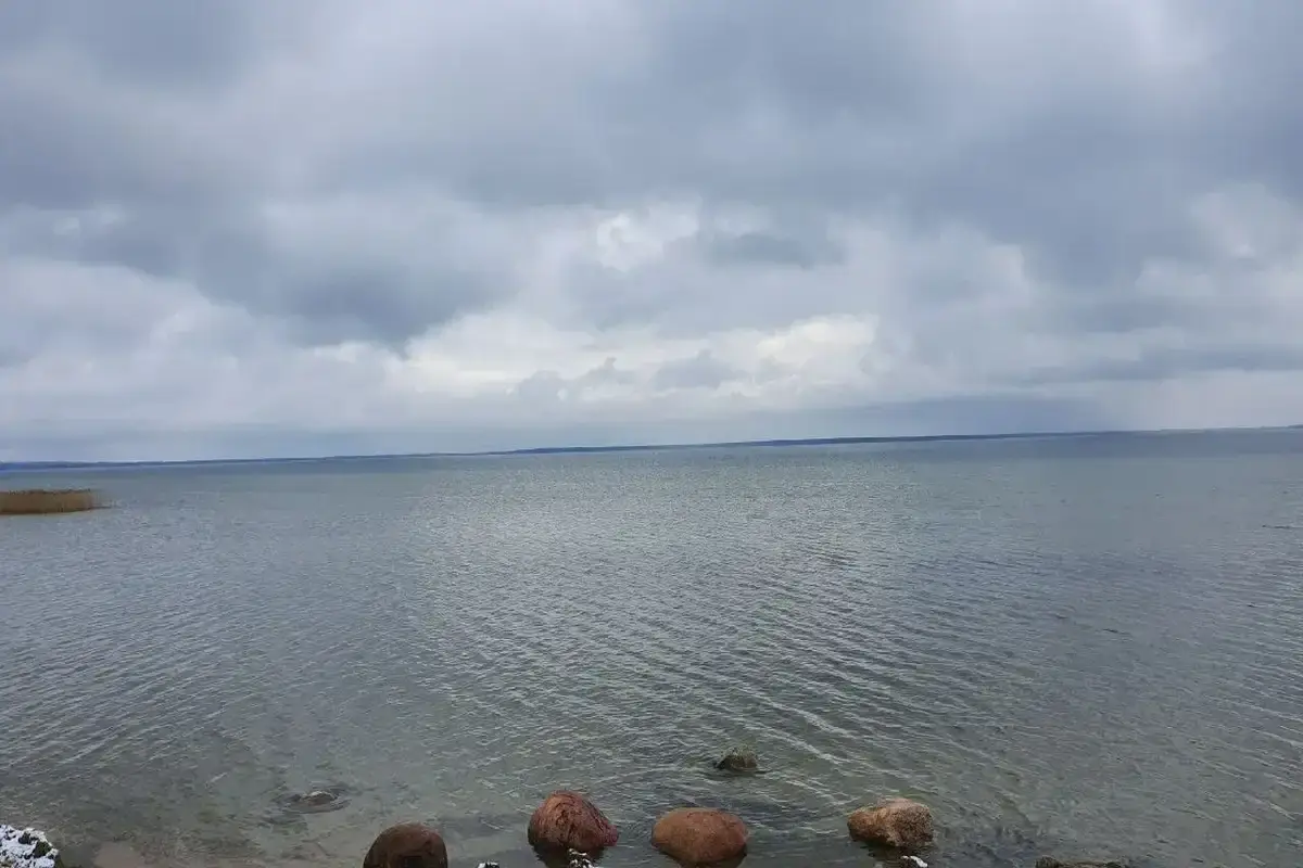 Вода на пляжах Беларуси прошла проверку Вода в водоеме