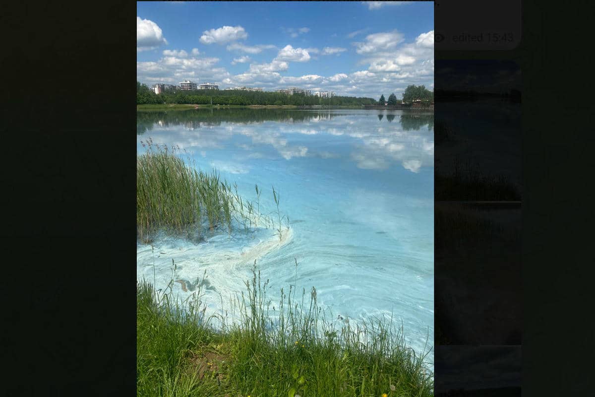 Экологи назвали причину необычного цвета воды на Цнянском водохранилище