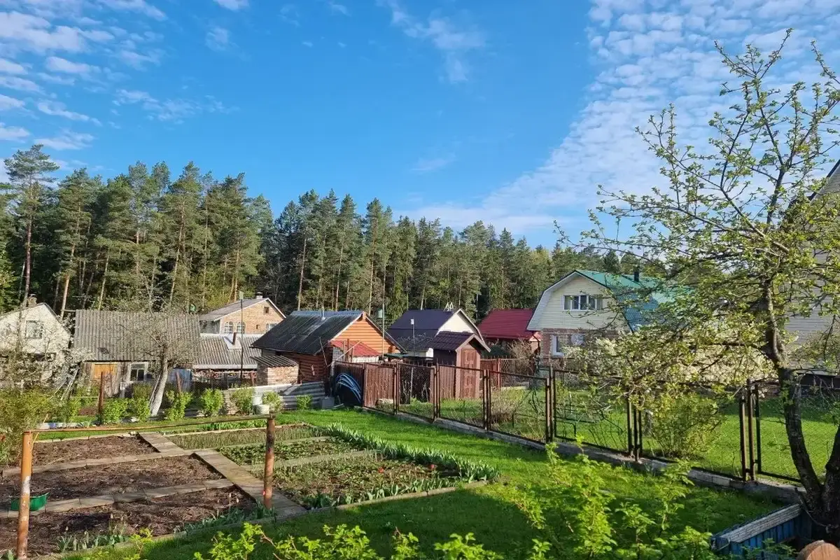 В Госкомимуществе назвали число пустующих домов, проданных в Беларуси в II квартале Частные дома