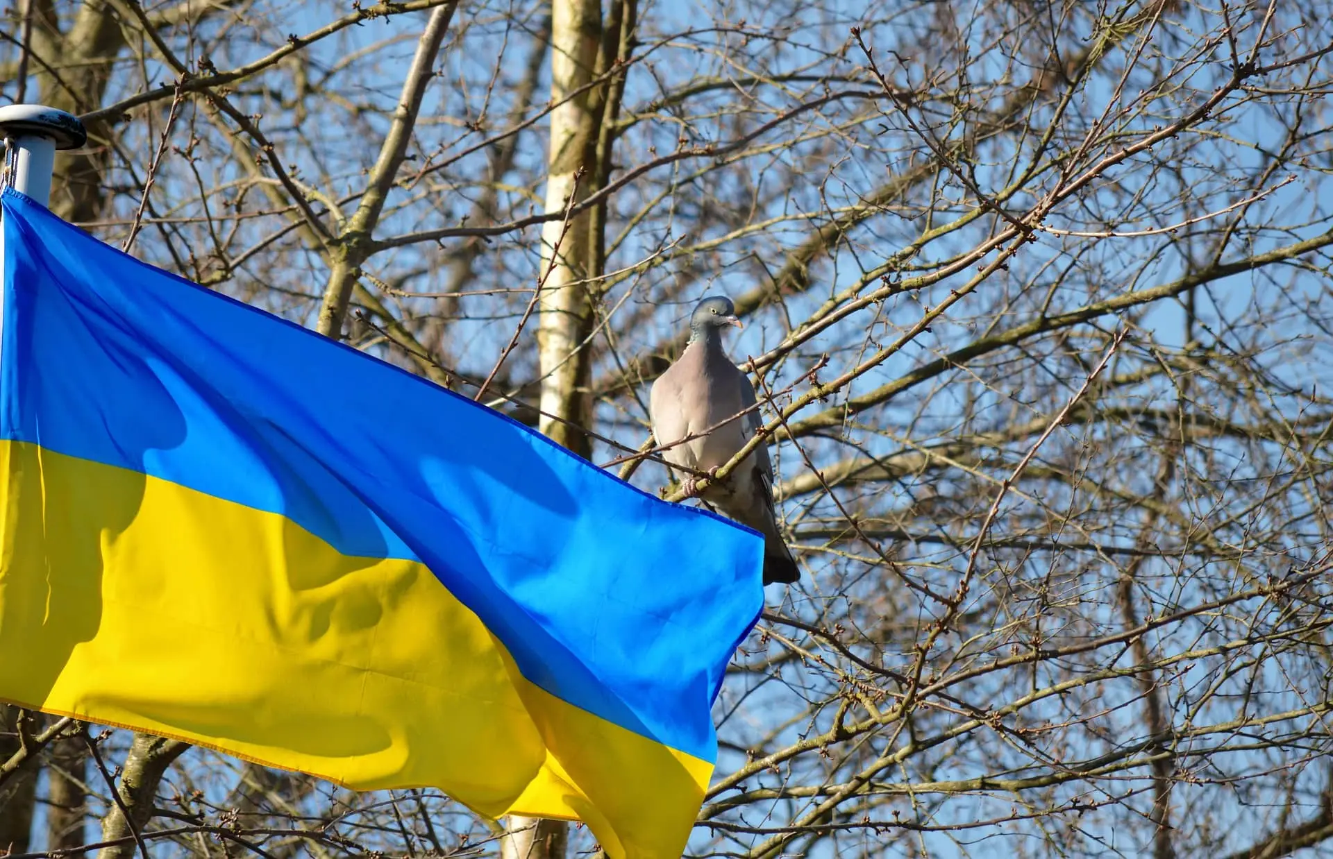 Михаил Фёдоров заявил об уходе с должности министра обороны Украины Флаг Украины