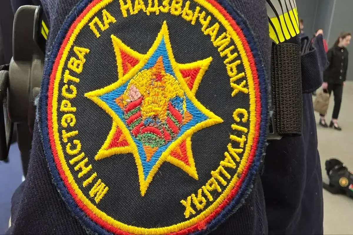 Мужчина застрял в 10-метровом колодце в Барановичском районе Нашивка МЧС
