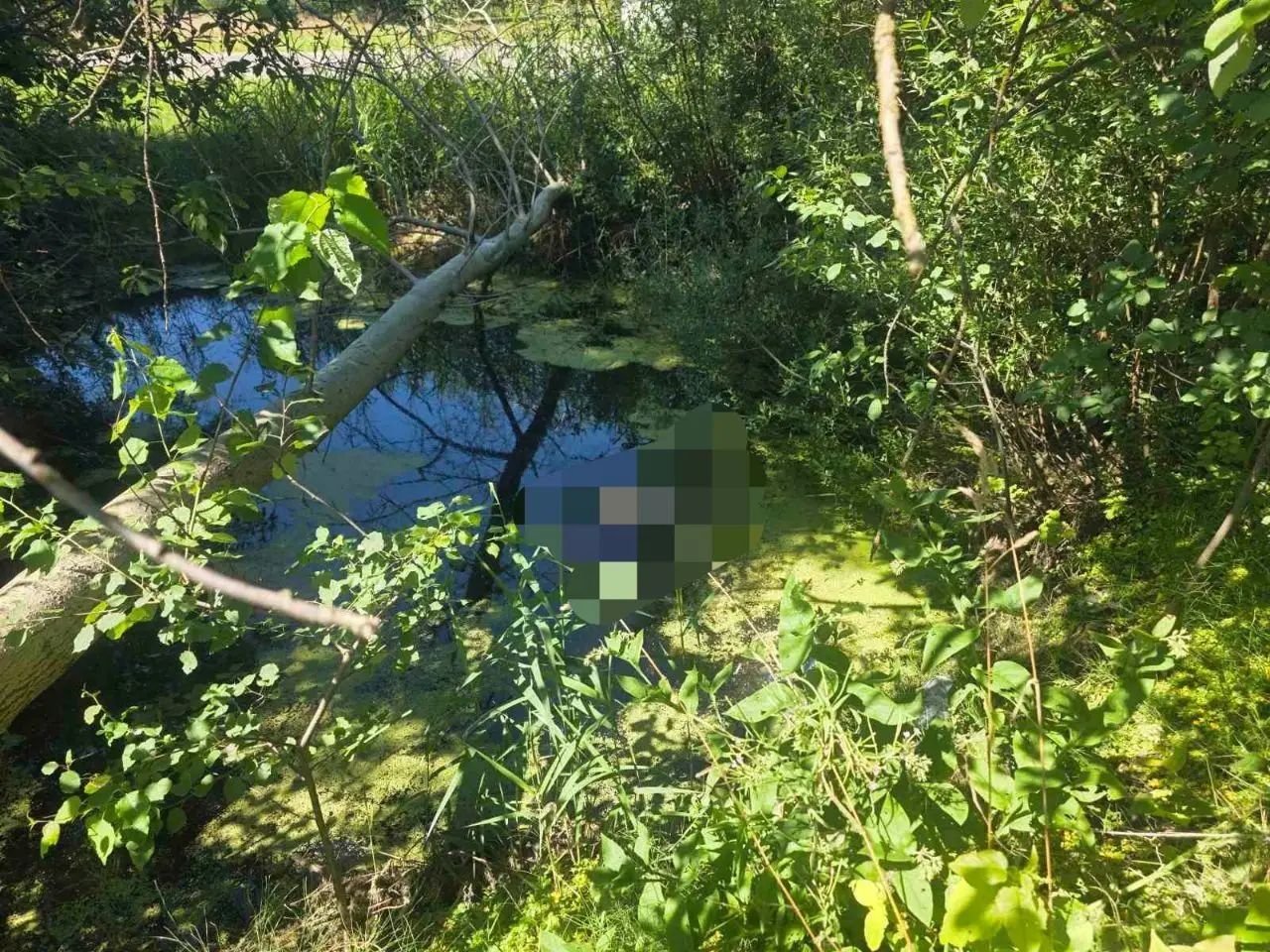 Тело мужчины нашли в водоеме-копани в Витебске небольшой водоем