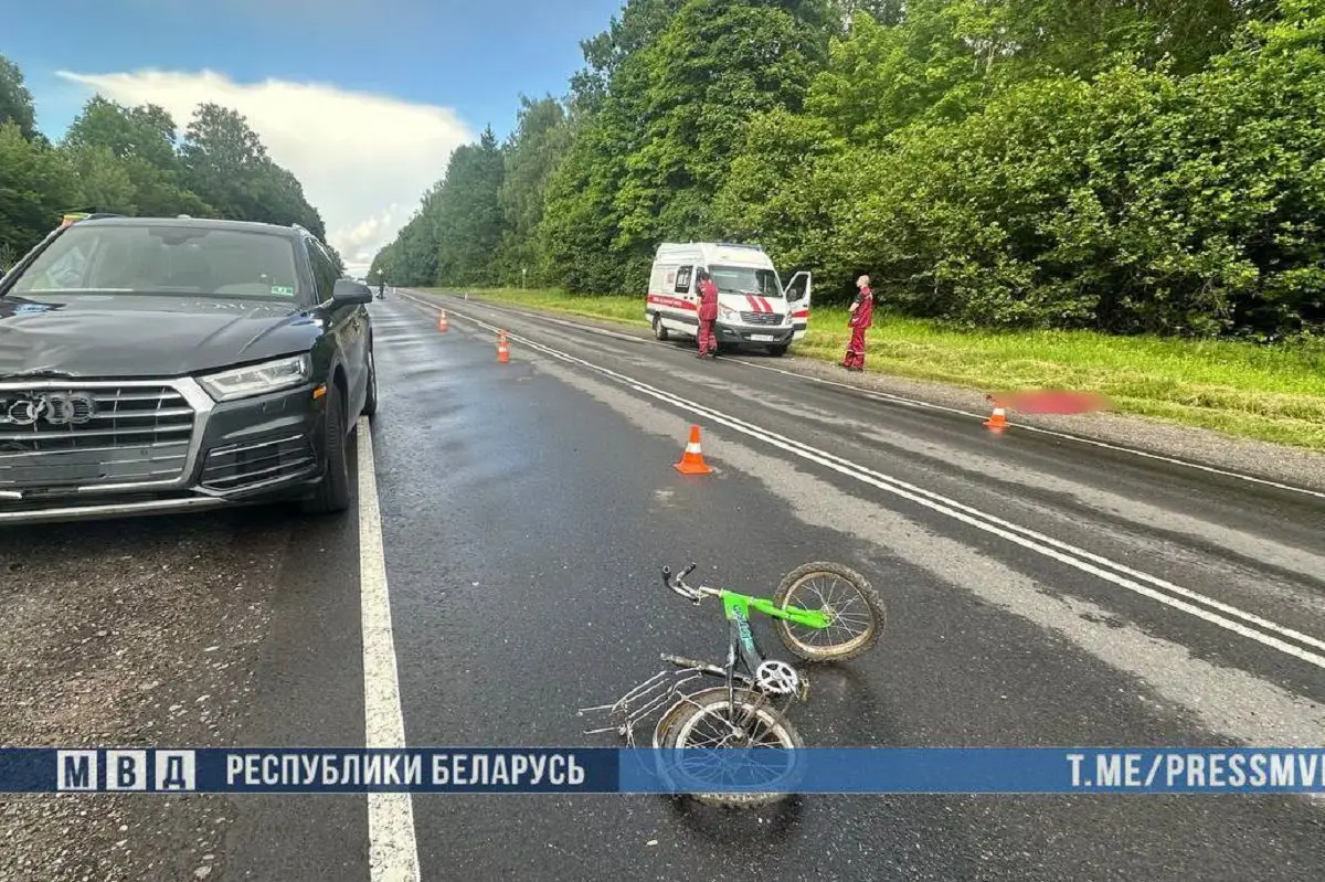 В Могилевской области водитель Audi наехал на 6-летнюю девочку. Ребенок погиб велосипед на дороге