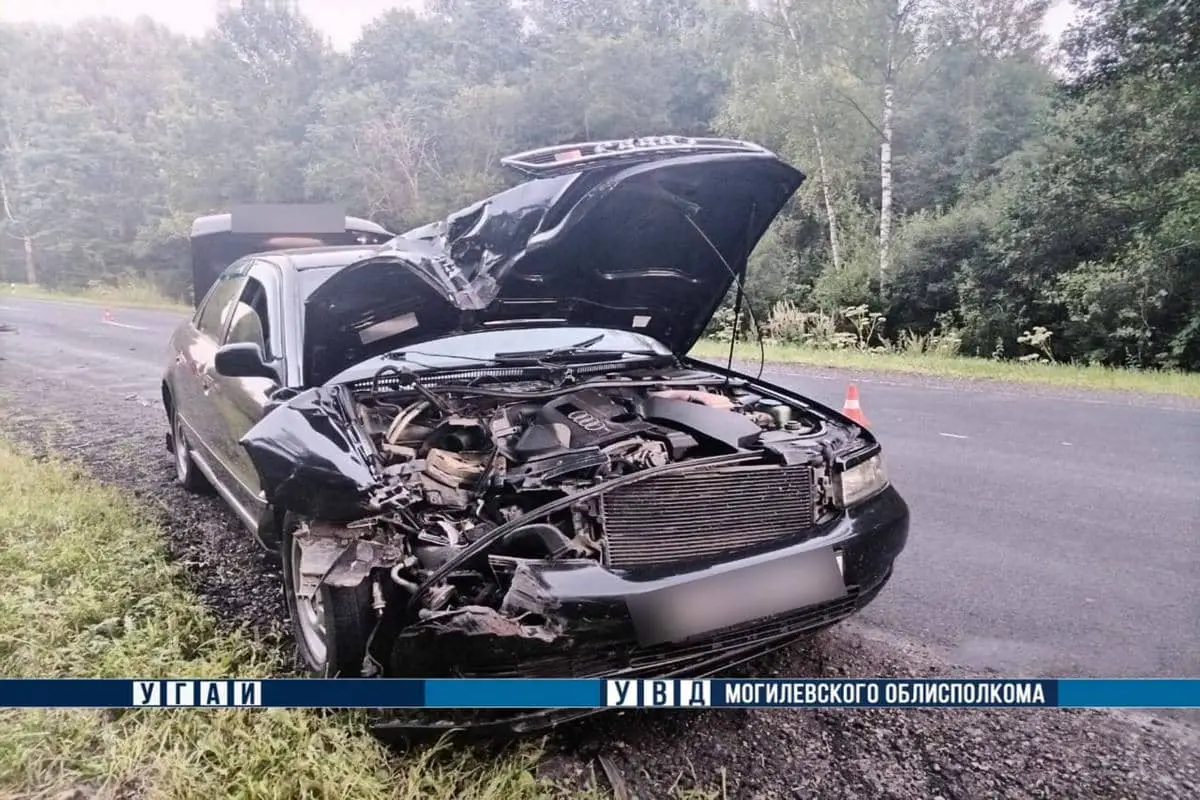 В Дрибинском районе водитель Audi насмерть сбил 60-летнего владельца мотоблока ДТП в Дрибинском районе