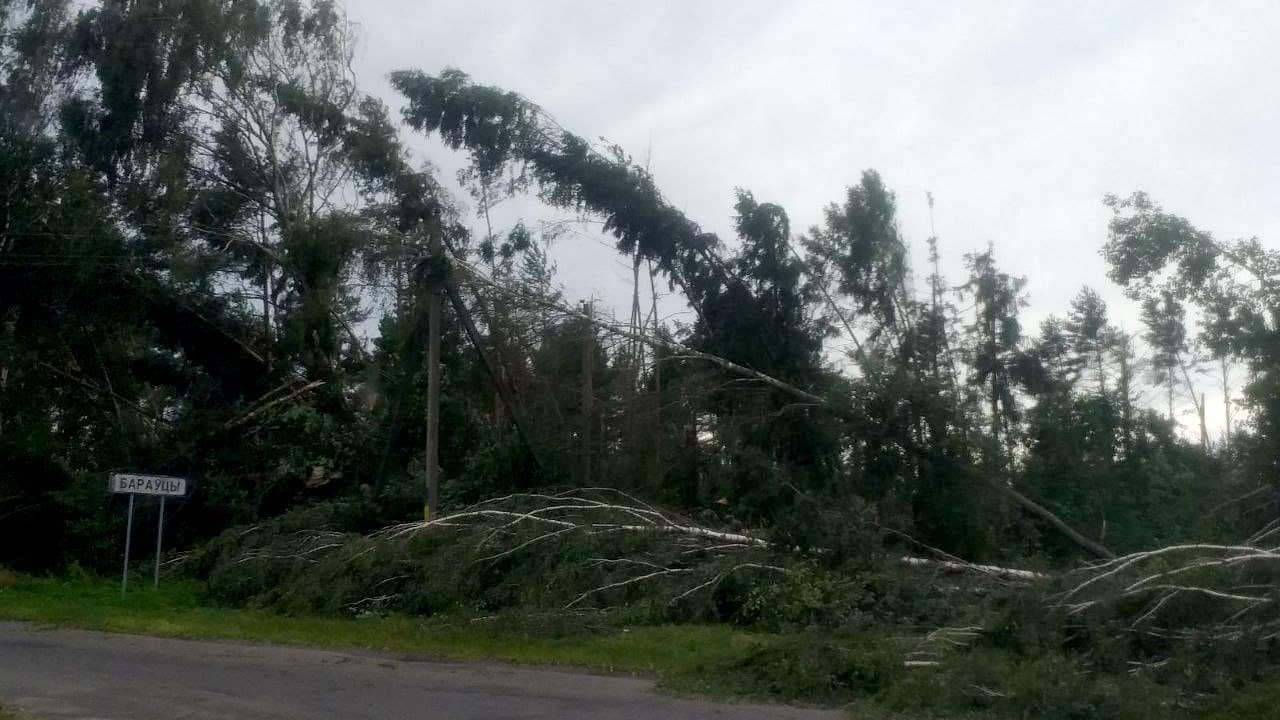 В 19 населённых пунктах Вилейского района всё ещё нет электричества. Идут восстановительные работы Поваленные деревья