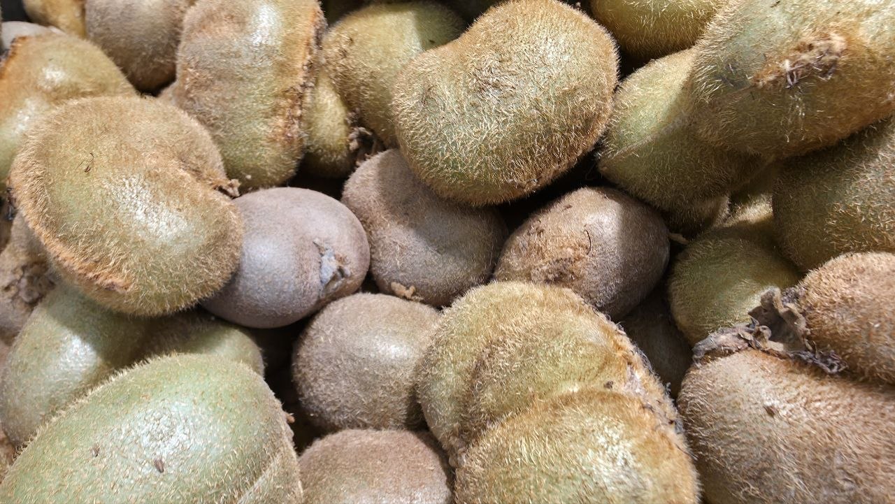 Почему полезно съедать киви после плотного мясного ужина: фермент актинидин, расщепляющий белки быстрее ферментов киви