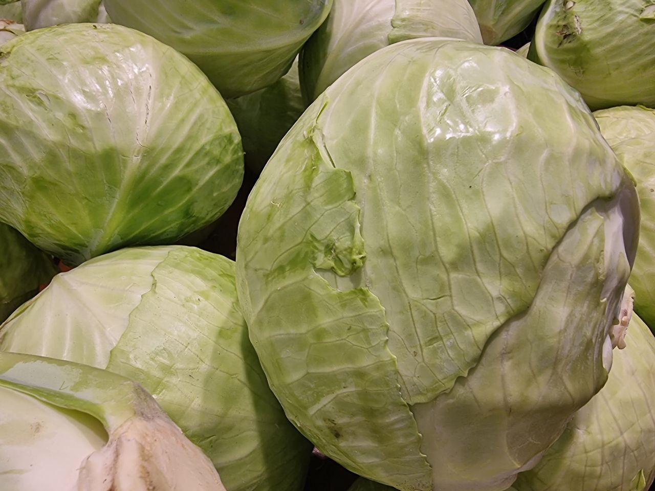 Белкоопсоюз увеличил объемы заготовок сельхозпродукции. Что закупают и сколько платят кочаны капусты