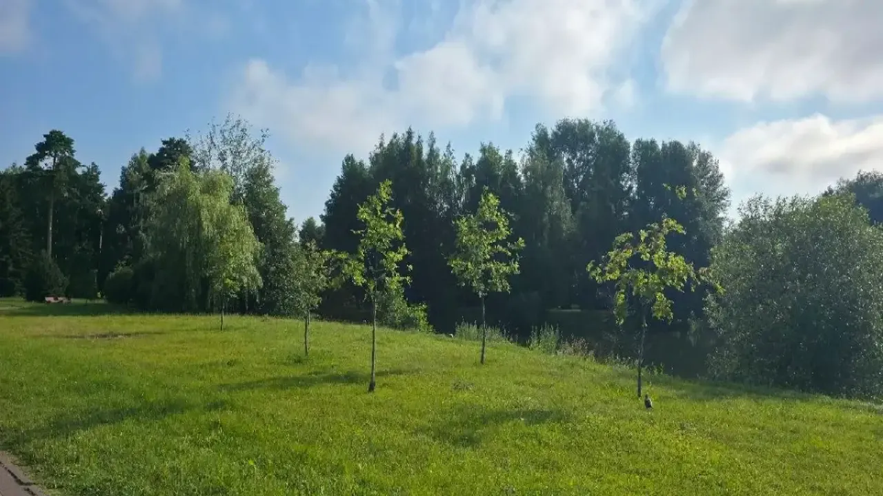 Какой сегодня праздник: 7 августа 2026 года Природа летом