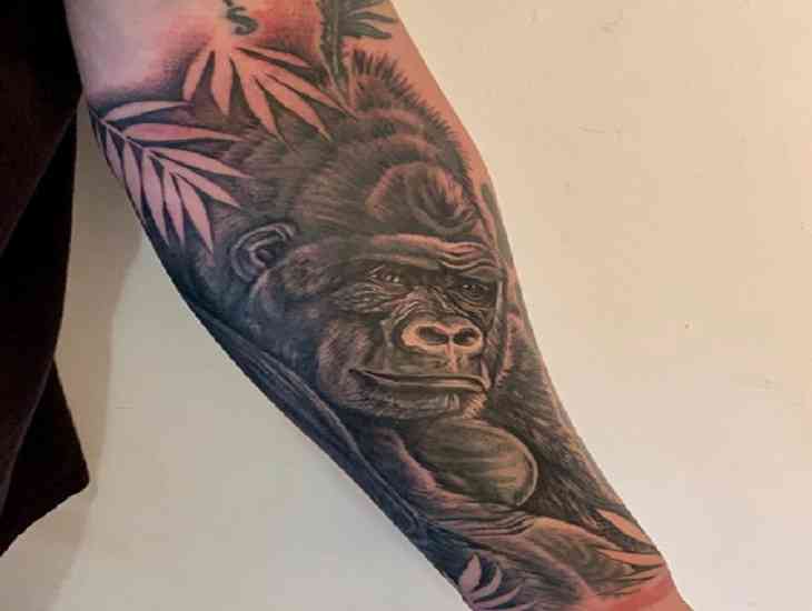 Бывший жених Пэрис Хилтон сделал тату с гориллой в ее честь