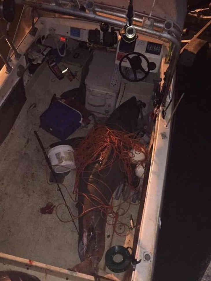 В Австралии трехметровая акула запрыгнула в рыбацкую лодку‍