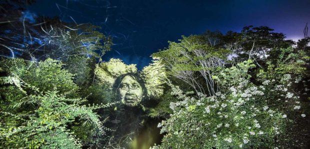 Французский художник рисует светом в амазонских джунглях