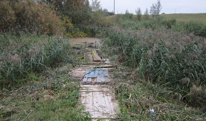 В Глубокском районе 5-летний мальчик утонул в пруду во дворе‍