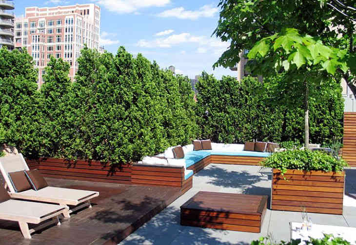 Городские сады на крышах домов (ФОТО)