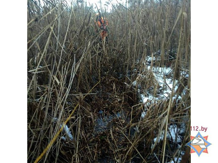 В Лепельском районе работники МЧС спасли тонущего в болоте мужчину‍
