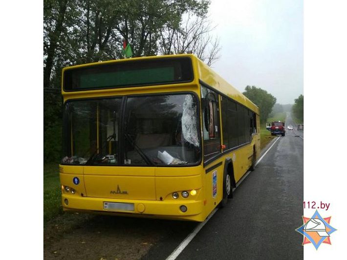 Рейсовый автобус столкнулся с микроавтобусом в Логойском районе